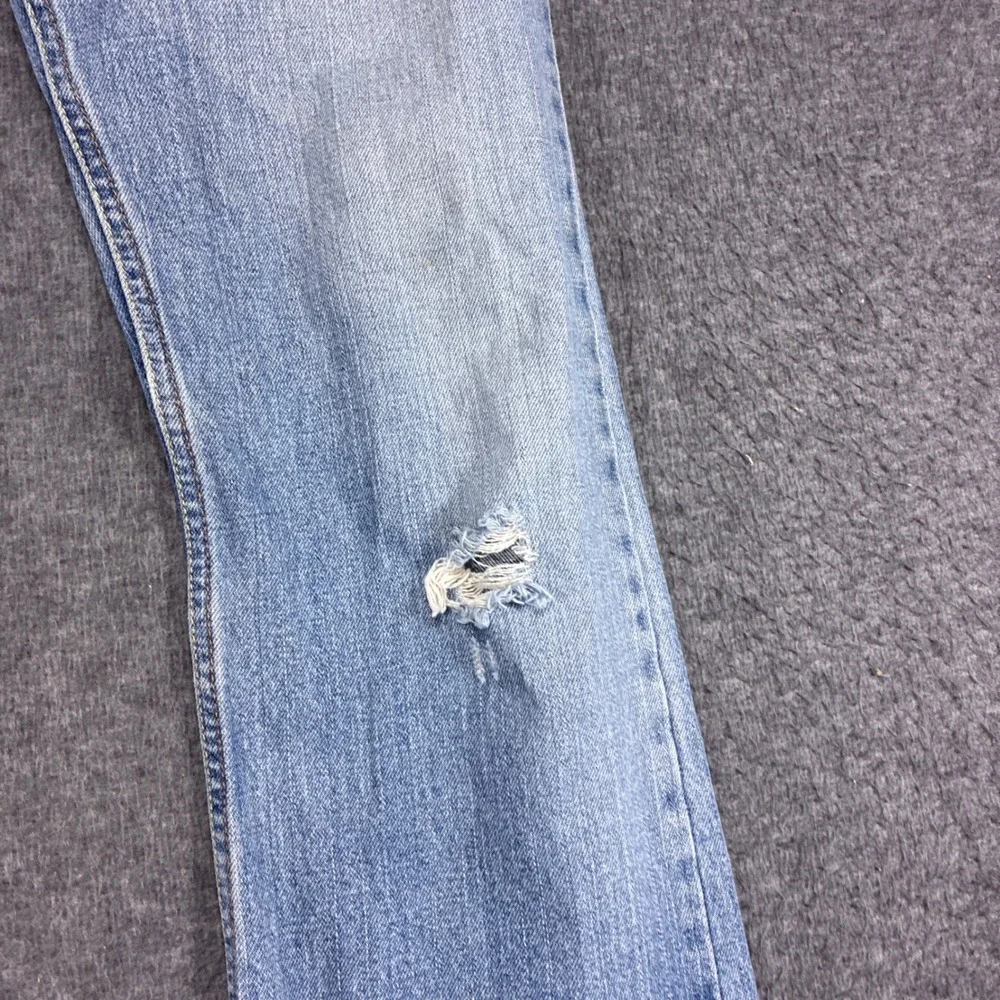 Levis levi 527